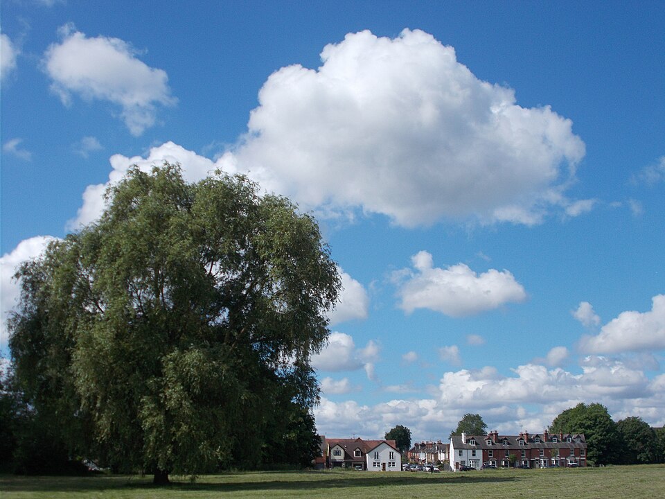 Theydon Bois village green