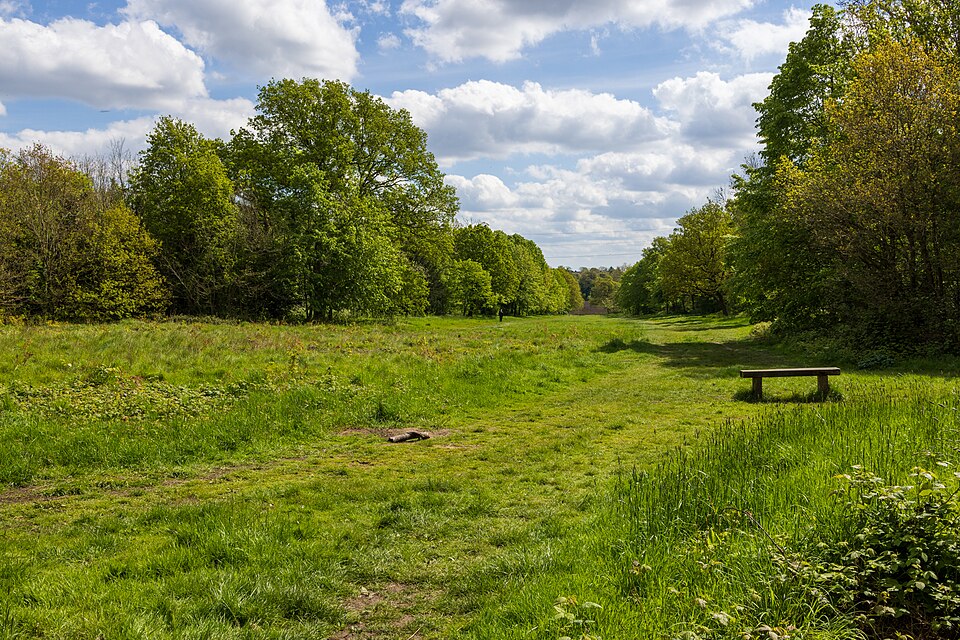 Wanstead Park